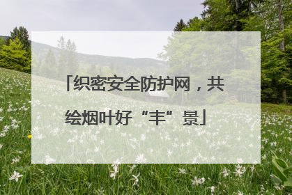 织密安全防护网，共绘烟叶好“丰”景