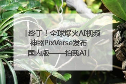 终于！全球爆火AI视频神器PixVerse发布国内版——拍我AI