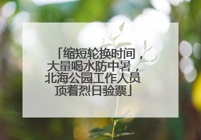 缩短轮换时间，大量喝水防中暑，北海公园工作人员顶着烈日验票