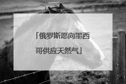 俄罗斯愿向墨西哥供应天然气