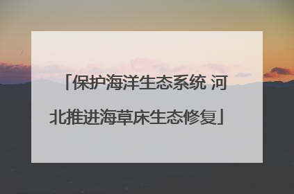 保护海洋生态系统 河北推进海草床生态修复