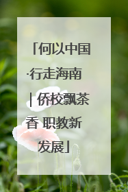 何以中国·行走海南｜侨校飘茶香 职教新发展