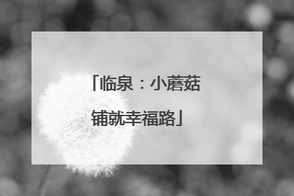 临泉：小蘑菇铺就幸福路