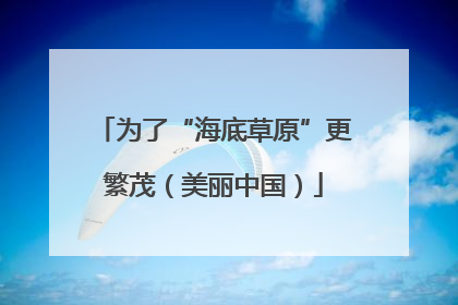 为了“海底草原”更繁茂（美丽中国）