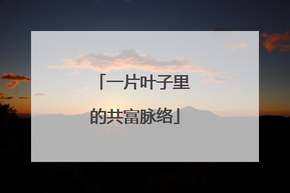 一片叶子里的共富脉络