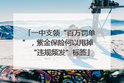 一中支领“百万罚单”，紫金保险何以甩掉“违规频发”标签