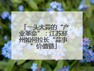 一头大蒜的“产业革命”：江苏邳州如何拉长“蒜事”价值链