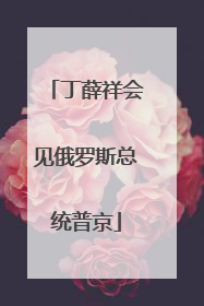 丁薛祥会见俄罗斯总统普京