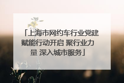 上海市网约车行业党建赋能行动开启 聚行业力量 深入城市服务
