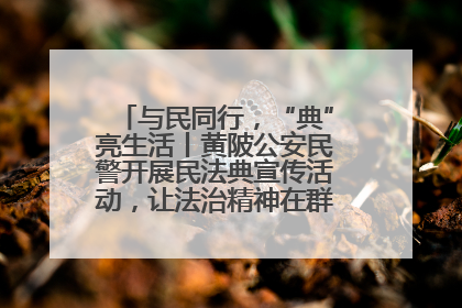 与民同行，“典”亮生活丨黄陂公安民警开展民法典宣传活动，让法治精神在群众心中落地生根