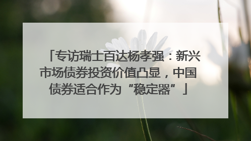 专访瑞士百达杨孝强：新兴市场债券投资价值凸显，中国债券适合作为“稳定器”