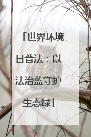 世界环境日普法：以法治蓝守护生态绿