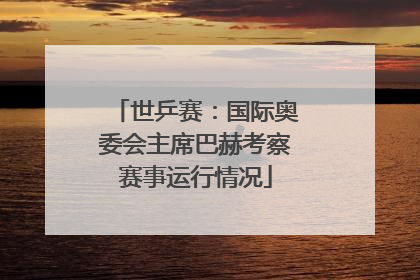 世乒赛：国际奥委会主席巴赫考察赛事运行情况