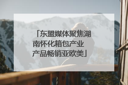 东盟媒体聚焦湖南怀化箱包产业 产品畅销亚欧美