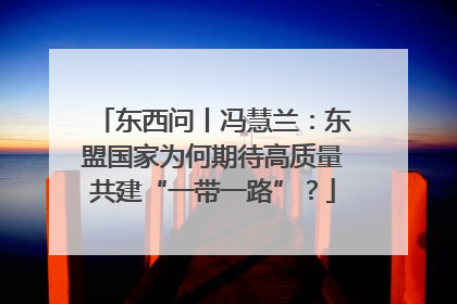 东西问丨冯慧兰：东盟国家为何期待高质量共建“一带一路”？