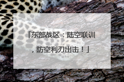 东部战区：陆空联训，防空利刃出击！
