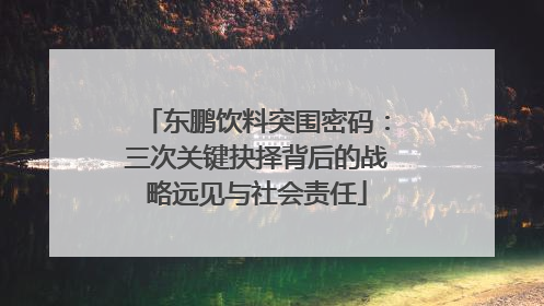 东鹏饮料突围密码：三次关键抉择背后的战略远见与社会责任