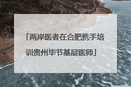 两岸医者在合肥携手培训贵州毕节基层医师