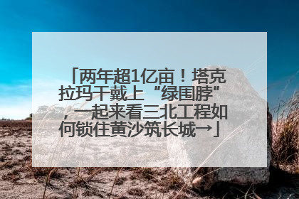两年超1亿亩！塔克拉玛干戴上“绿围脖”，一起来看三北工程如何锁住黄沙筑长城→