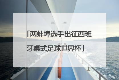 两蚌埠选手出征西班牙桌式足球世界杯