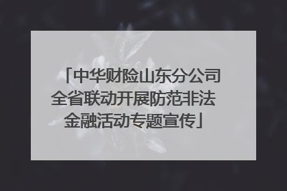 中华财险山东分公司全省联动开展防范非法金融活动专题宣传