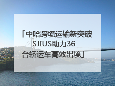 中哈跨境运输新突破 SJIUS助力36台轿运车高效出境