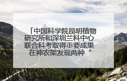 中国科学院昆明植物研究所和深圳兰科中心联合科考取得重要成果 在神农架发现两种“国保”级兰花