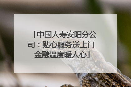 中国人寿安阳分公司：贴心服务送上门 金融温度暖人心