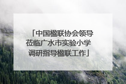 中国楹联协会领导莅临广水市实验小学调研指导楹联工作