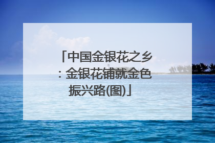中国金银花之乡：金银花铺就金色振兴路(图)