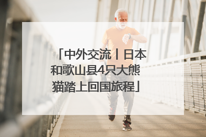 中外交流丨日本和歌山县4只大熊猫踏上回国旅程