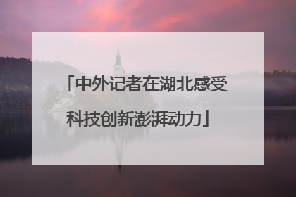 中外记者在湖北感受科技创新澎湃动力