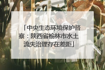 中央生态环境保护督察：陕西省榆林市水土流失治理存在差距