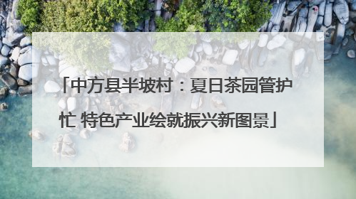 中方县半坡村：夏日茶园管护忙 特色产业绘就振兴新图景
