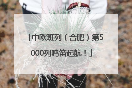 中欧班列（合肥）第5000列鸣笛起航！