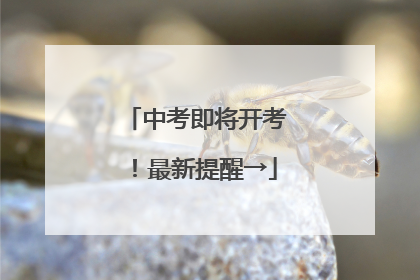 中考即将开考！最新提醒→
