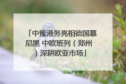 中豫港务亮相德国慕尼黑 中欧班列（郑州）深耕欧亚市场
