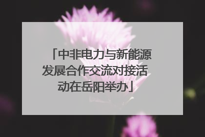 中非电力与新能源发展合作交流对接活动在岳阳举办
