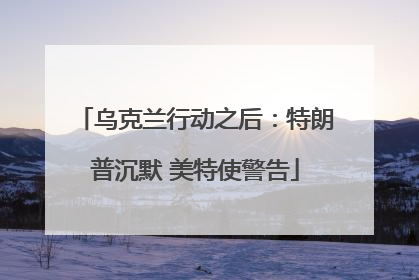 乌克兰行动之后：特朗普沉默 美特使警告
