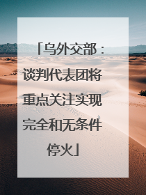 乌外交部：谈判代表团将重点关注实现完全和无条件停火