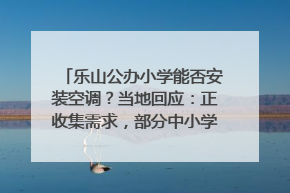 乐山公办小学能否安装空调？当地回应：正收集需求，部分中小学已启动安装｜云求助