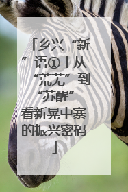 乡兴“新”语①丨从“荒芜”到“苏醒” 看新晃中寨的振兴密码