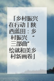 乡村振兴在行动丨陕西蓝田：乡村振兴 “三部曲” 绘就和美乡村新画卷