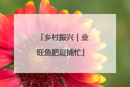 乡村振兴｜业旺鱼肥夏捕忙