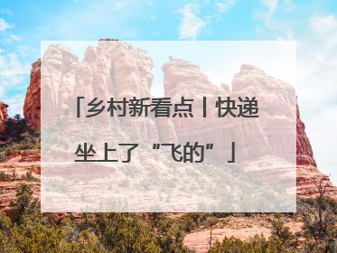 乡村新看点丨快递坐上了“飞的”