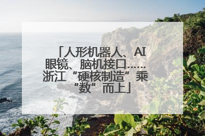 人形机器人、AI眼镜、脑机接口……浙江“硬核制造”乘“数”而上