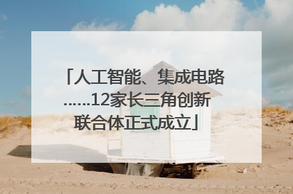 人工智能、集成电路……12家长三角创新联合体正式成立