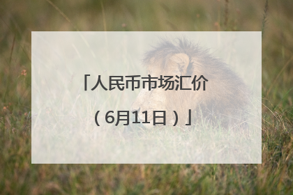 人民币市场汇价（6月11日）
