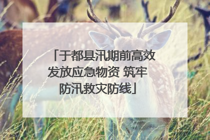 于都县汛期前高效发放应急物资 筑牢防汛救灾防线
