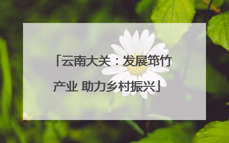 云南大关：发展筇竹产业 助力乡村振兴